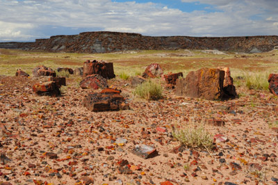 Paysages de la forêt pétrifiée dans l'état de l'Arizona. Photographies par Amar Guillen.