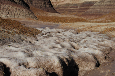 Paysages de la forêt pétrifiée dans l'état de l'Arizona. Photographies par Amar Guillen.