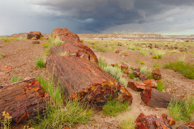 Paysages de la forêt pétrifiée dans l'état de l'Arizona. Photographies par Amar Guillen.