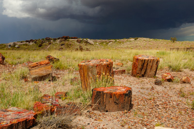 Paysages de la forêt pétrifiée dans l'état de l'Arizona. Photographies par Amar Guillen.