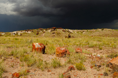 Paysages de la forêt pétrifiée dans l'état de l'Arizona. Photographies par Amar Guillen.