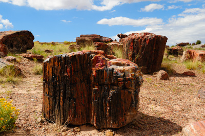Paysages de la forêt pétrifiée dans l'état de l'Arizona. Photographies par Amar Guillen.