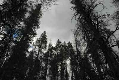 Les montagnes rocheuses dans l'état du Colorado aux Etats-Unis. Photographies par Amar Guillen.