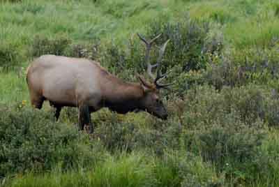 Les montagnes rocheuses dans l'état du Colorado aux Etats-Unis. Photographies par Amar Guillen.