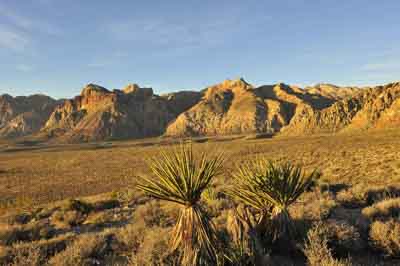 Red Rock Canyon dans l'état du Nevada aux Etats-Unis. Photographies par Amar Guillen.