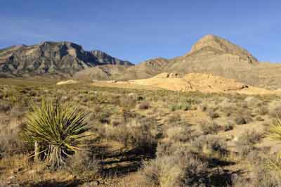 Red Rock Canyon dans l'état du Nevada aux Etats-Unis. Photographies par Amar Guillen.