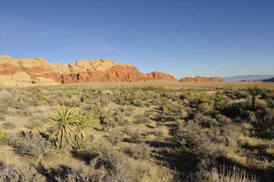 Red Rock Canyon dans l'état du Nevada aux Etats-Unis. Photographies par Amar Guillen.