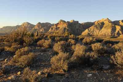 Red Rock Canyon dans l'état du Nevada aux Etats-Unis. Photographies par Amar Guillen.