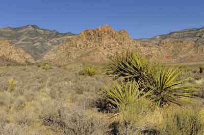 Red Rock Canyon dans l'état du Nevada aux Etats-Unis. Photographies par Amar Guillen.