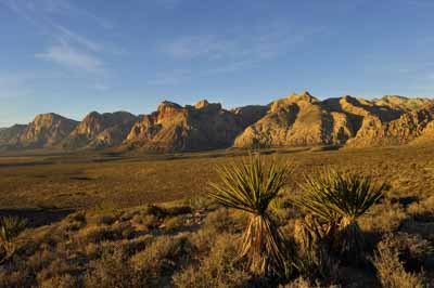 Red Rock Canyon dans l'état du Nevada aux Etats-Unis. Photographies par Amar Guillen.