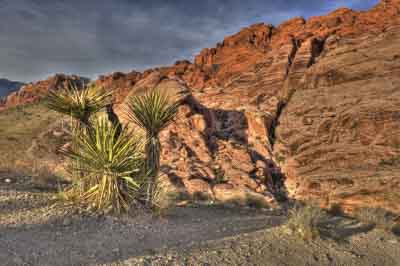 Red Rock Canyon dans l'état du Nevada aux Etats-Unis. Photographies par Amar Guillen.