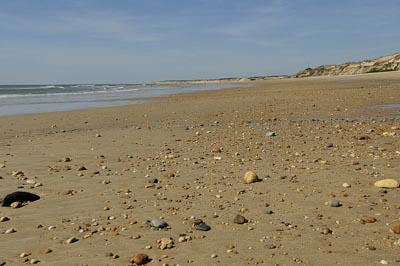 Paysages du Médoc en Gironde. Photographies par Amar Guillen.