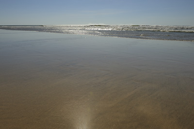 Paysages du Médoc en Gironde. Photographies par Amar Guillen.