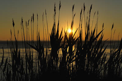 Paysages du Médoc en Gironde. Photographies par Amar Guillen.