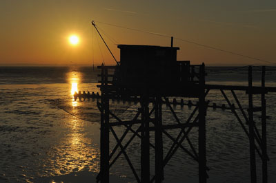 Paysages du Médoc en Gironde. Photographies par Amar Guillen.