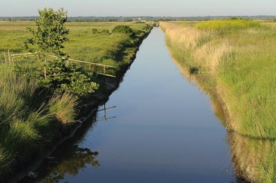Paysages du Médoc en Gironde. Photographies par Amar Guillen.