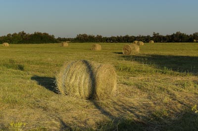 Paysages du Médoc en Gironde. Photographies par Amar Guillen.