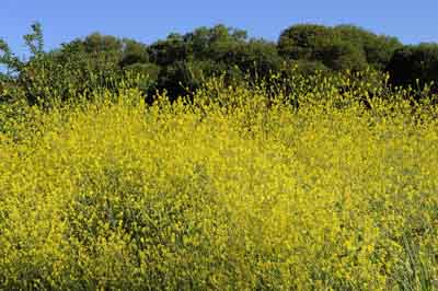 Paysages du Médoc en Gironde. Photographies par Amar Guillen.