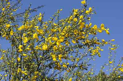 Paysages du Médoc en Gironde. Photographies par Amar Guillen.