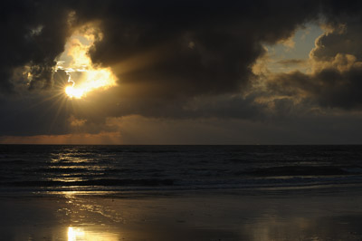 Paysages du Médoc en Gironde. Photographies par Amar Guillen.