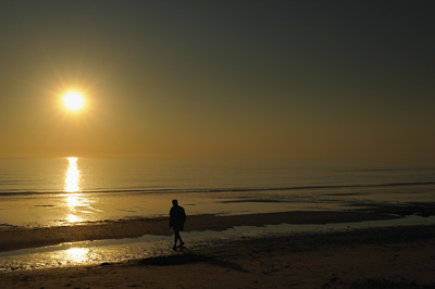 Paysages du Médoc en Gironde. Photographies par Amar Guillen.
