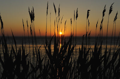 Paysages du Médoc en Gironde. Photographies par Amar Guillen.