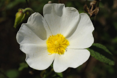 Paysages du Médoc en Gironde. Photographies par Amar Guillen.