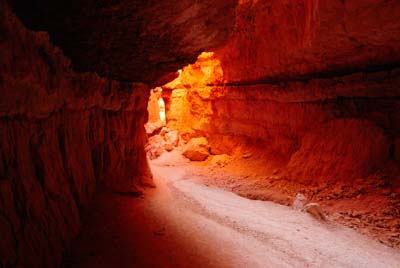 Paysages de Bryce Canyon dans l'Utah aux Etats-Unis. Photographies par Amar Guillen.