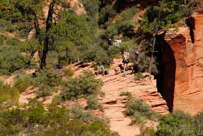 Paysages du Canyon de Zion dans l'Utah aux Etats-Unis. Photographies par Amar Guillen.