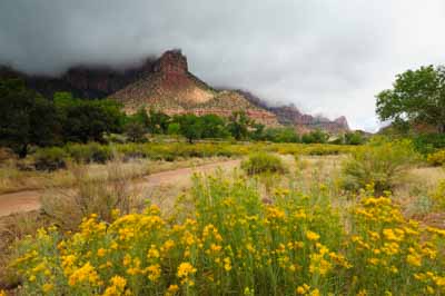 Paysages du Canyon de Zion dans l'Utah aux Etats-Unis. Photographies par Amar Guillen.