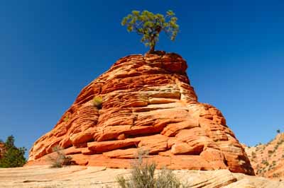 Paysages du Canyon de Zion dans l'Utah aux Etats-Unis. Photographies par Amar Guillen.