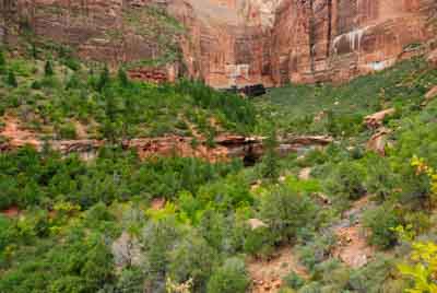Paysages du Canyon de Zion dans l'Utah aux Etats-Unis. Photographies par Amar Guillen.