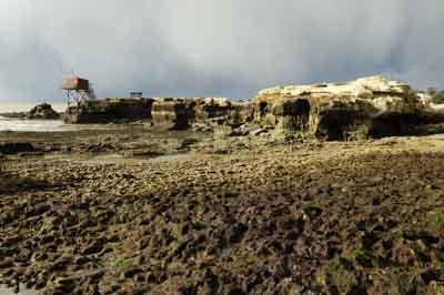 Les rives de l'Estuaire de la Gironde en Charente-Maritime. Photographies par Amar Guillen.