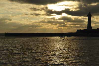 Les rives de l'Estuaire de la Gironde en Charente-Maritime. Photographies par Amar Guillen.