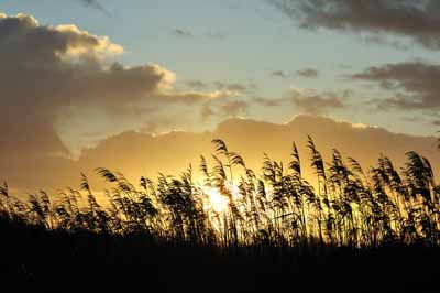 Les rives de l'Estuaire de la Gironde en Charente-Maritime. Photographies par Amar Guillen.
