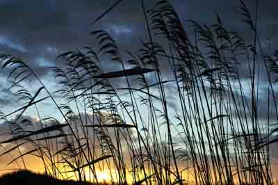 Les rives de l'Estuaire de la Gironde en Charente-Maritime. Photographies par Amar Guillen.