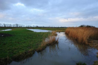 Les rives de l'Estuaire de la Gironde en Charente-Maritime. Photographies par Amar Guillen.