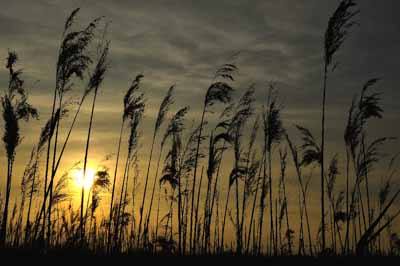 Paysages de la côte de la Charente-Maritime en France. Photographies par Amar Guillen.