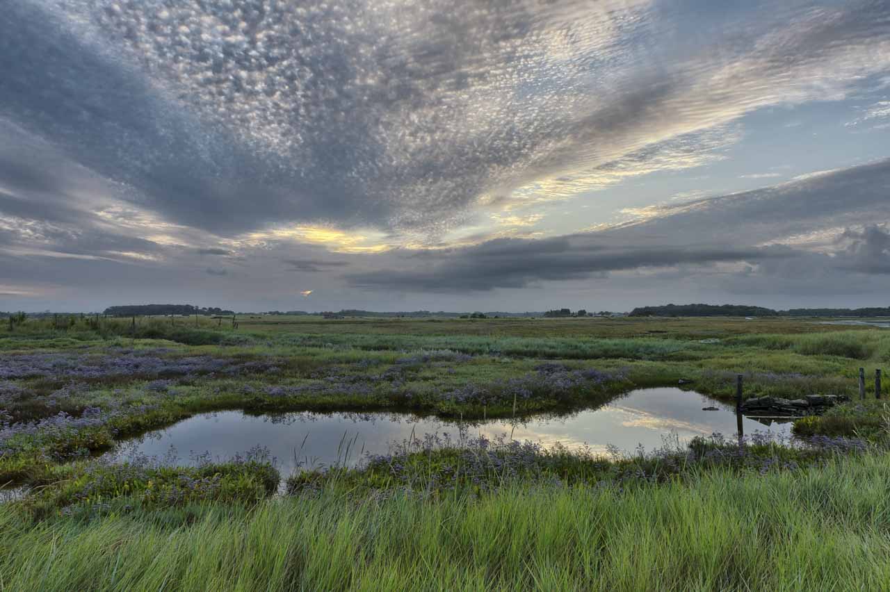 A photo that required days waiting for the best weather conditions: a swampy area near Royan in Charente-Maritime.
