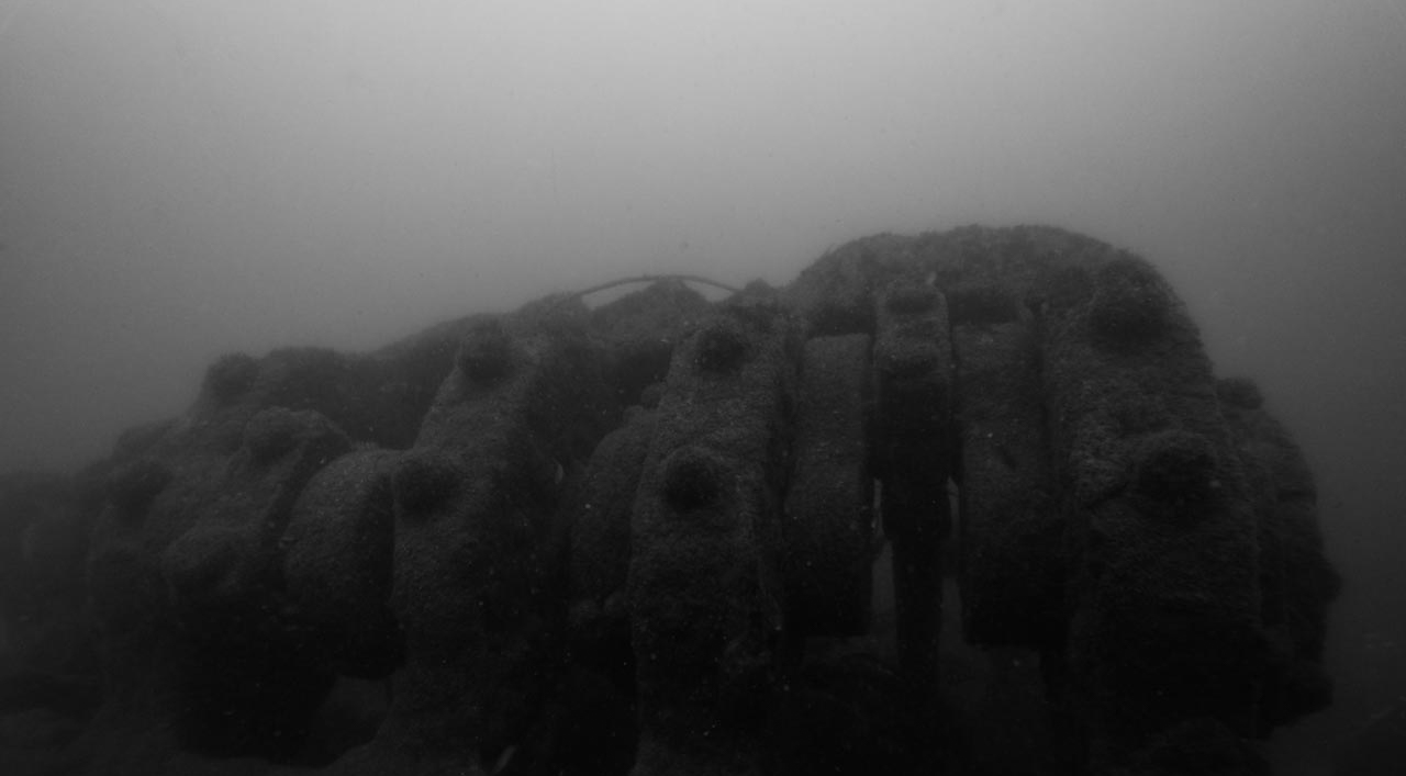 The wreck of Recoin off the coast of Oleron island in Charente-Maritime, France, Atlantic ocean.