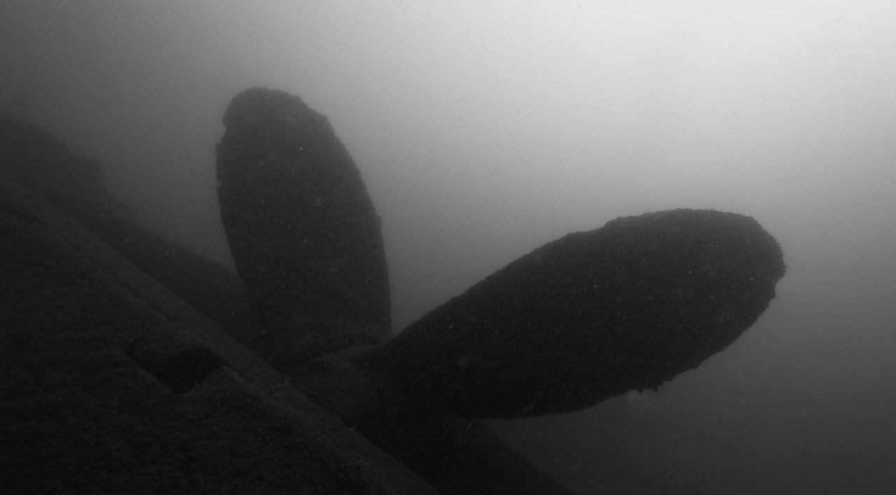 The wreck of Recoin off the coast of Oleron island in Charente-Maritime, France, Atlantic ocean.