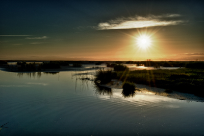 Paysages de la côte de l'estuaire de la Gironde en Charente-Maritime. Photographies par Amar Guillen.