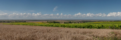 Paysages de la côte de l'estuaire de la Gironde en Charente-Maritime. Photographies par Amar Guillen.