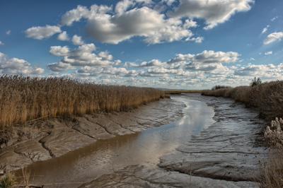 Paysages de la côte de l'estuaire de la Gironde en Charente-Maritime. Photographies par Amar Guillen.