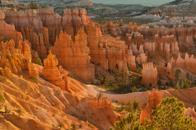 Les paysages de Bryce Canyon dans l'Utah. Photographies par Amar Guillen.