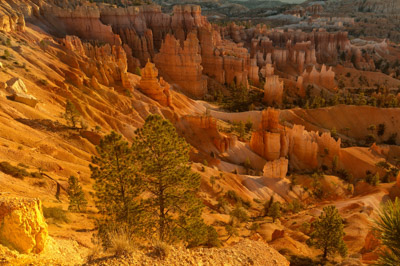 Les paysages de Bryce Canyon dans l'Utah. Photographies par Amar Guillen.