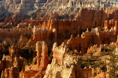 Les paysages de Bryce Canyon dans l'Utah. Photographies par Amar Guillen.