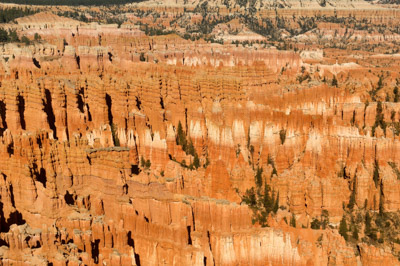 Les paysages de Bryce Canyon dans l'Utah. Photographies par Amar Guillen.