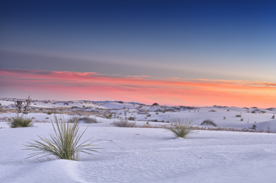Photographies des paysages des White Sand Dune au Nouveau Mexique aux Etats-Unis