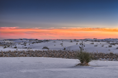 Photographies des paysages des White Sand Dune au Nouveau Mexique aux Etats-Unis